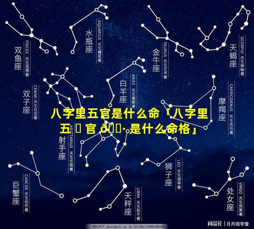 八字里五官是什么命「八字里五 ☘ 官 🌷 是什么命格」